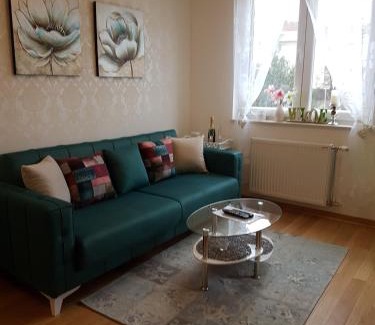 Novi Sad Apartment | Kraljev Park (King's Park)