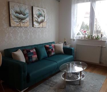 Novi Sad Apartment | Kraljev Park (King's Park)