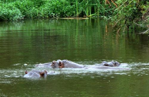 Hazyview Apartment | Kruger Park Lodge Unit No. 612