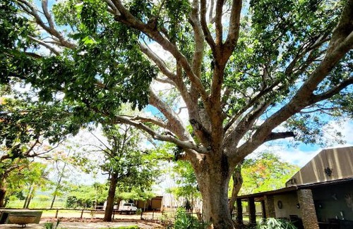 Malelane Apartment | Kruger's SugarView