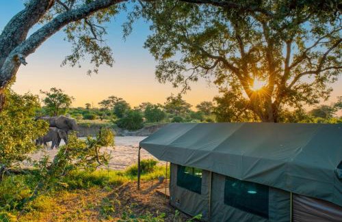 Kruger National Park Other | Kruger Untamed - Tshokwane River Camp