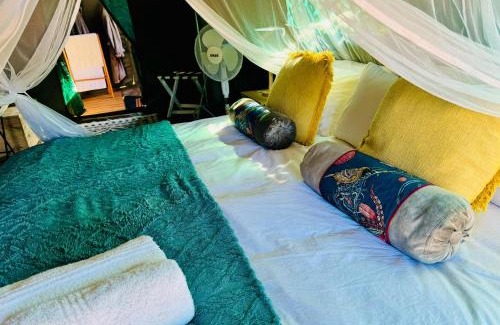 Kruger National Park Other | Kruger Untamed - Tshokwane River Camp