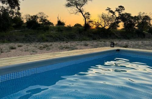 Kruger National Park Other | Kruger Untamed - Tshokwane River Camp