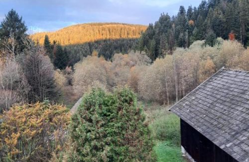 Krzyzowka House | Krynica Zdrój - Dom nad wodą