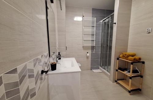 Krynica-Zdroj Apartment | Krynicki Lotos Apartament przy deptaku