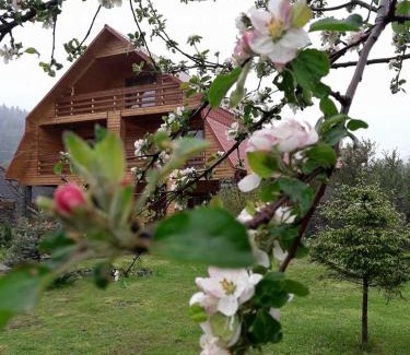 Yaremche House | Kryvyi brid