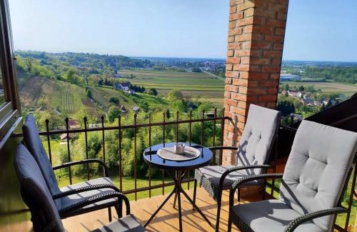 Ludbreg Villa | Kuća za odmor Orly, jacuzzi, sauna, prekrasan pogled