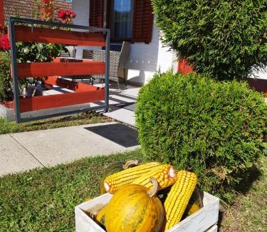 Donja Voca House | Kuća za odmor Ria