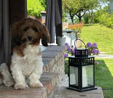 Kulcs House | Kulcs a Kulcshoz Menedék