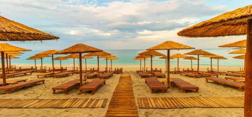 Papa Nero Apartment | Kyma Papa Nero Studios