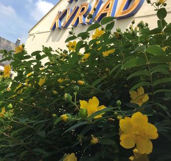 Odos Hotel | Kyriad Tarbes Odos