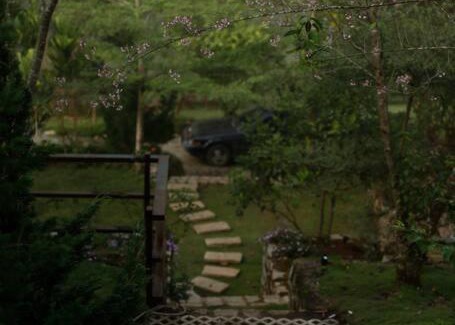 Lac Duong Villa | Làng Tinh Mơ - Dreaming Village - Home Resort Da Lat