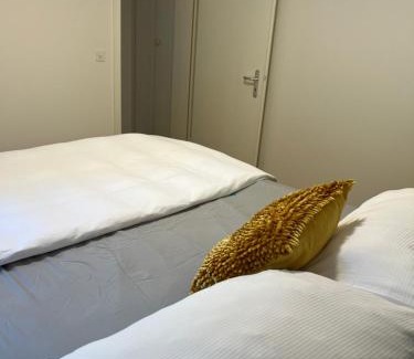Lucerne Apartment | Löwen