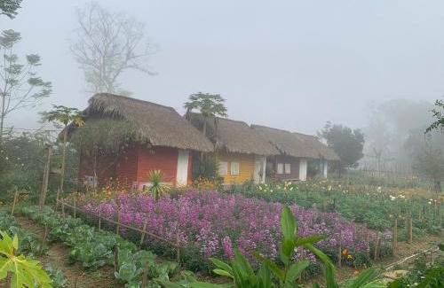 Cao Bang House | Lương Sơn Ecolodge