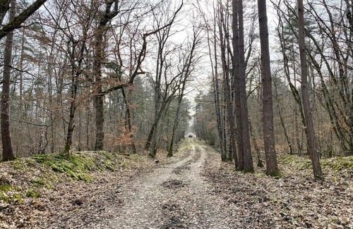 Ligny-le-Ribault House | L'écrin de la forêt