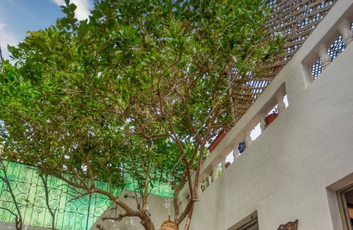 Cite Charaf Apartment | L' Ecrin *** - Maison 4 Px - Terrasse - Wifi