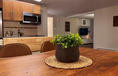 Orford Apartment | L'escale d'Orford