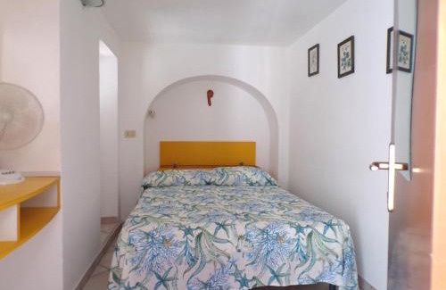 Ponza House | L'Isolana Case Vacanza Alloro 1
