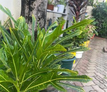 Mwananyamala Bed & Breakfast | L&J Modern Backpackers Kinondoni