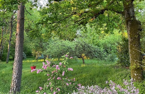 Pange Apartment | L'orée Verte, un Appartement Immergé Dans la Nature à 10 mn de Metz