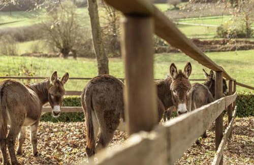 Cortanze House | 'L Piasi