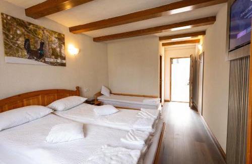 Padis Cabin | La 5 casute