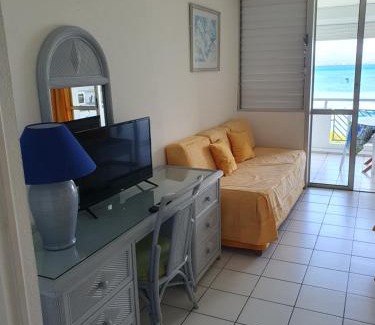 Pointe de la verdure Apartment | La belle vue mer du yucca.