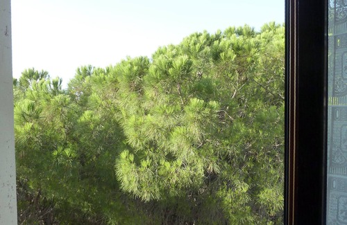 Cala Gonone Apartment | La Bouganville Cala Gonone 400 m from the sea - WIFI and A.C.