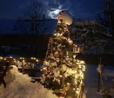 Cisnadioara House | La Bunica