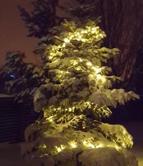 Cisnadioara House | La Bunica