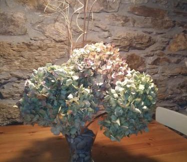 Limes Apartment | La Cabana´l Cachican