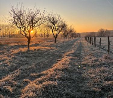 Hudiviller Cabin | La cabane enchantée