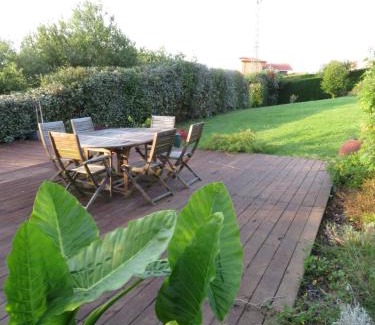 Mogro House | La casa de las palas Tok-pok