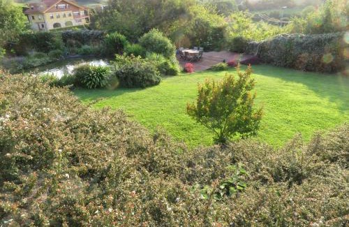 Mogro House | La casa de las palas Tok-pok