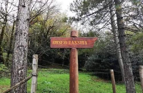 Caronia House | La casa dei nonni