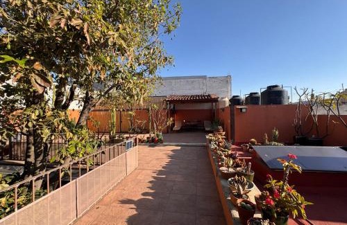 Ruta Independencia House | La Casa del Arbol