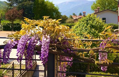 Tarzo House | La Casa del Glicine Tarzo