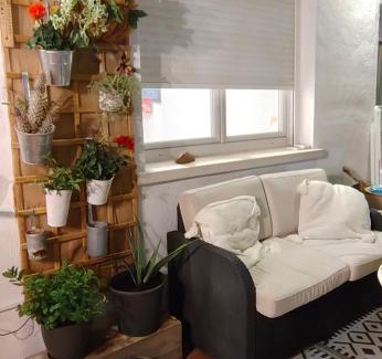 Alcorrin House | La casa Mariposa, UNIQUEMENT 1chambre et 1sdb privées dans un appartement partagé chez l'habitant