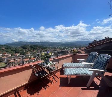 Arcola House | La casa nei carobi