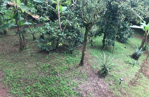 Isla Bastimentos House | La casa