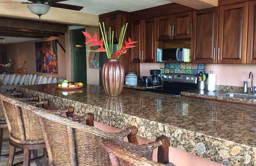 Ixtapa - Zihuatanejo Condo | La Casa Que Ve al Mar te da la bienvenida en 2026!