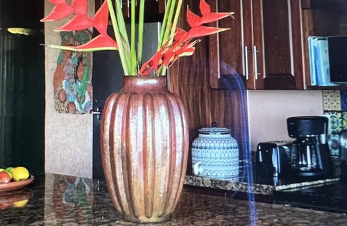 Ixtapa - Zihuatanejo Condo | La Casa Que Ve al Mar te da la bienvenida en 2026!