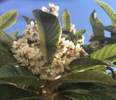 Sciacca House | La casetta di Giò