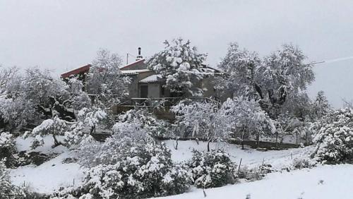 Montecorto House | La casita encantada