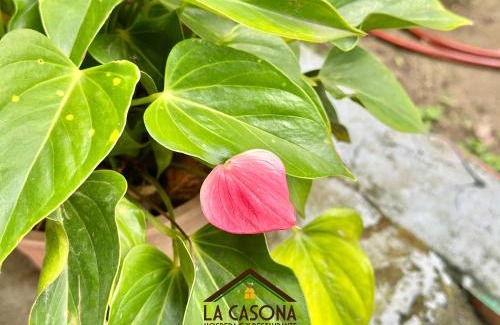 Arauca Hotel | La Casona