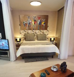 Sansais Apartment | La chaume du marais poitevin avec barque green venice with boat