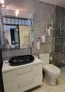 Sansais Apartment | La chaume du marais poitevin avec barque green venice with boat