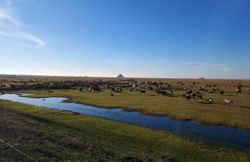 Saint-Quentin-sur-le-Homme Apartment | La Clé du Chesnot