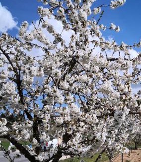 Villars Resort | La Colline des Ocres Village de vacances 3 étoiles