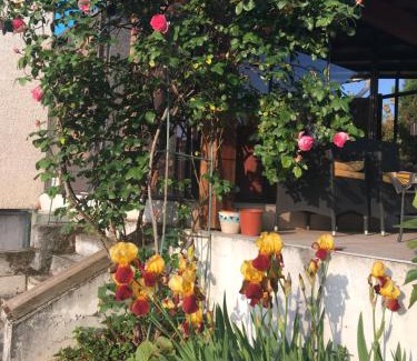 Sainte-Colombe Apartment | La Colombe